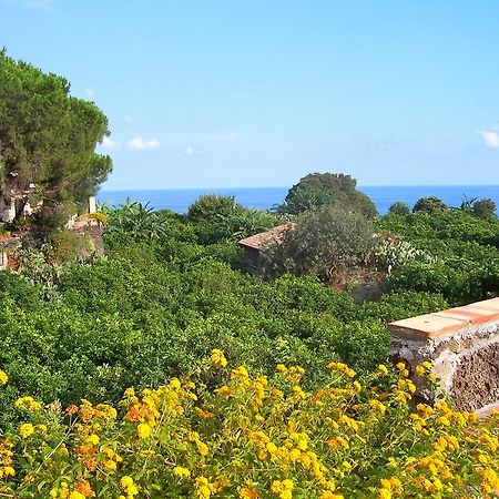 Vila Il Limoneto Acireale Exteriér fotografie