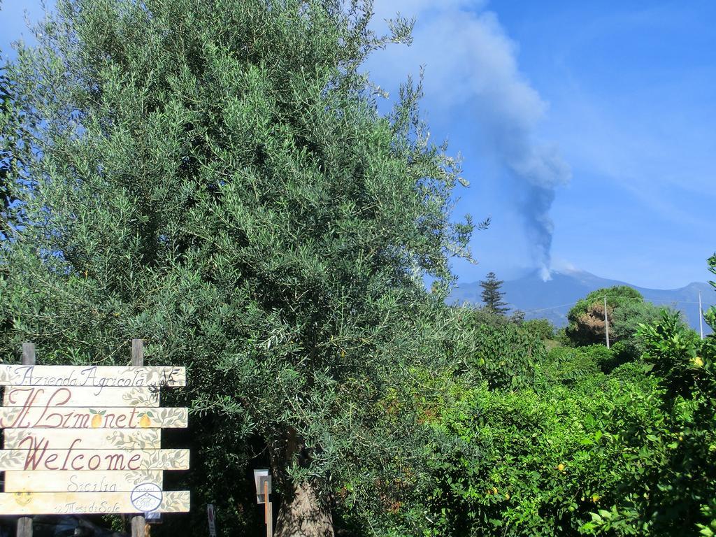 Vila Il Limoneto Acireale Exteriér fotografie