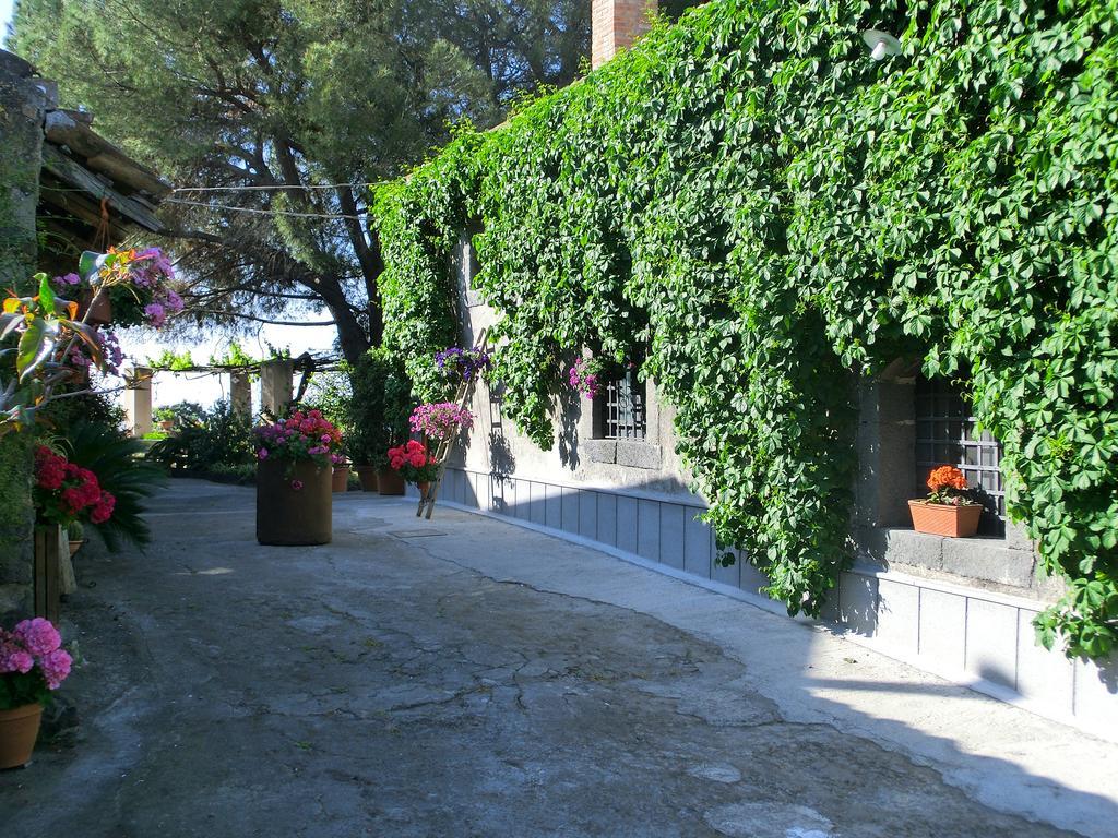 Vila Il Limoneto Acireale Exteriér fotografie