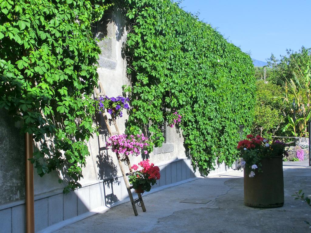 Vila Il Limoneto Acireale Exteriér fotografie