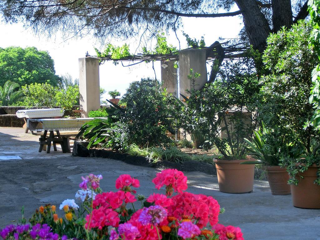 Vila Il Limoneto Acireale Exteriér fotografie